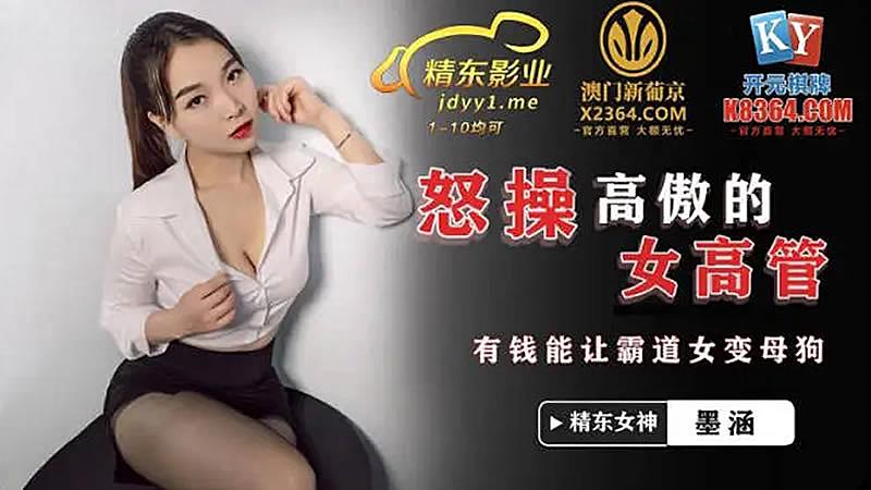 JDSY024  怒操高傲女高管1海报剧照