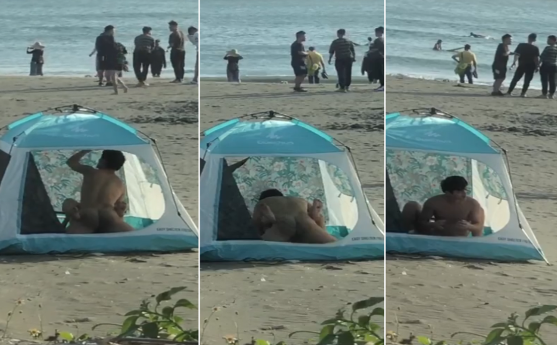 台灣海灘驚見「帳篷四腳獸」的