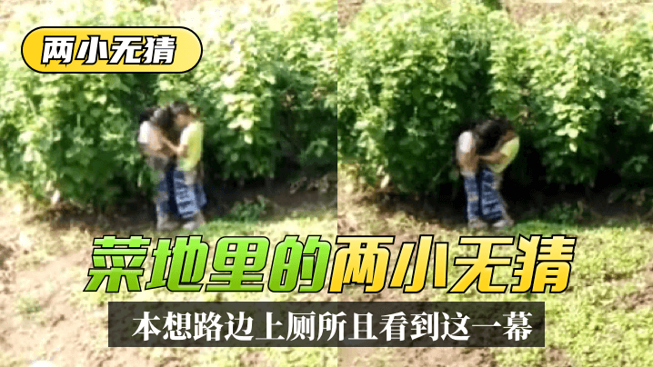 两小无猜本想路边上厕所没想到一抬头菜地里看到这一幕!